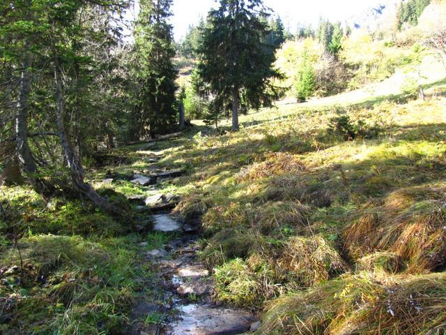 der Wanderweg ist immer gut ersichtlich und markiert