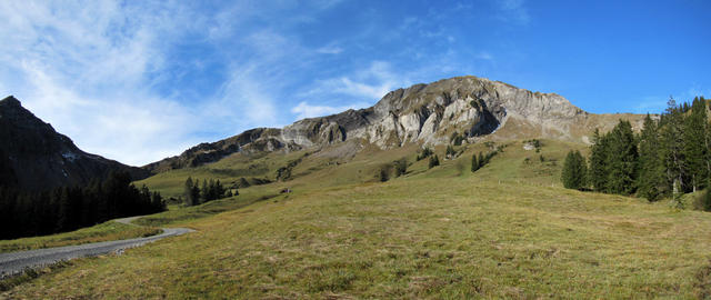 Blick hinauf zum Morgenberghorn und Leissiggrat