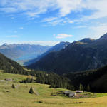 schönes Breitbildfoto mit den Alphütten auf Mittelberg, Brienzersee und Brienzerkette