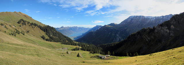 schönes Breitbildfoto mit den Alphütten auf Mittelberg, Brienzersee und Brienzerkette