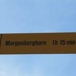unser nächstes Ziel heisst nun Morgenberghorn