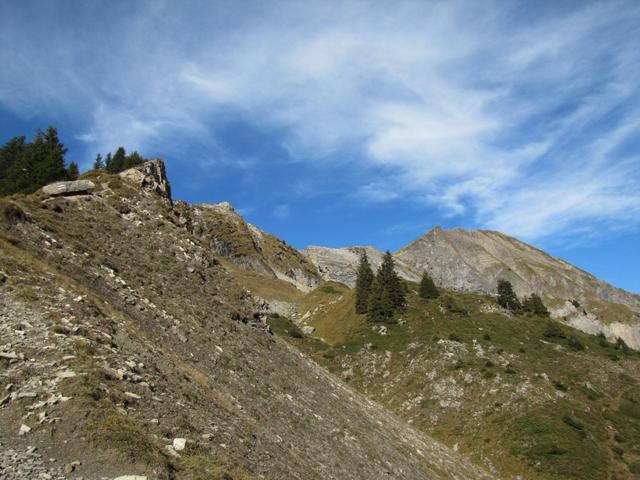 der Weg wird nun definitiv steiler