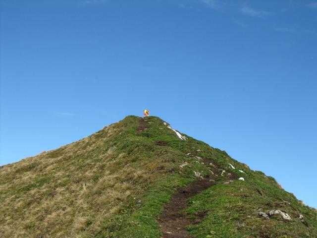 wir haben den Morgenberghorn auf 2248 m.ü.M. erreicht