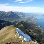 Blick auf Niesen und Stockhorn. Dort oben waren wir auch schon. Der schöne Thunersee nicht zu vergessen