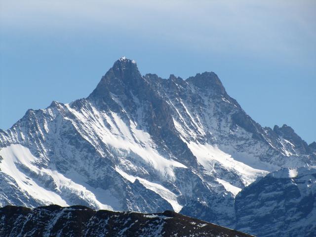 Schreckhorn