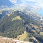 der Weg führt alles der Kuppe entlang (links das Suldtal) bis zum Waldende nach Aeschiried