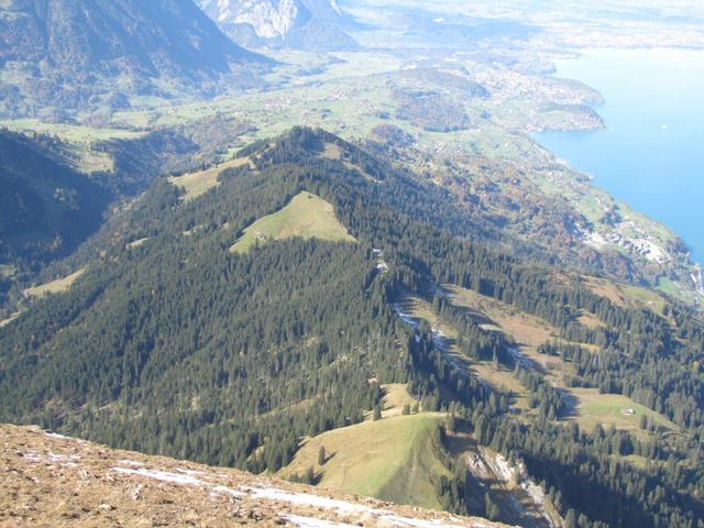 der Weg führt alles der Kuppe entlang (links das Suldtal) bis zum Waldende nach Aeschiried