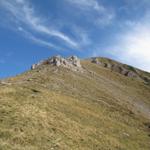 Blick nach oben zum Morgenberghorn