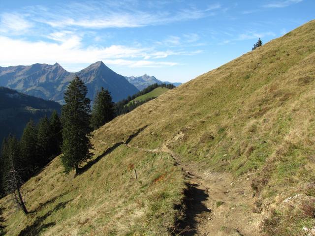 auf einem Höhenweg mit Tiefblick ins Suldtal liefen wir weiter Richtung Aeschiried