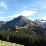 kurz nach Greberegg Blick zum Morgenberghorn