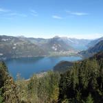 auf den Thunersee, Interlaken und den Brienzersee. Nur auf dieser Wanderung kann man beide Seen auf der ganzen Länge bestaunen