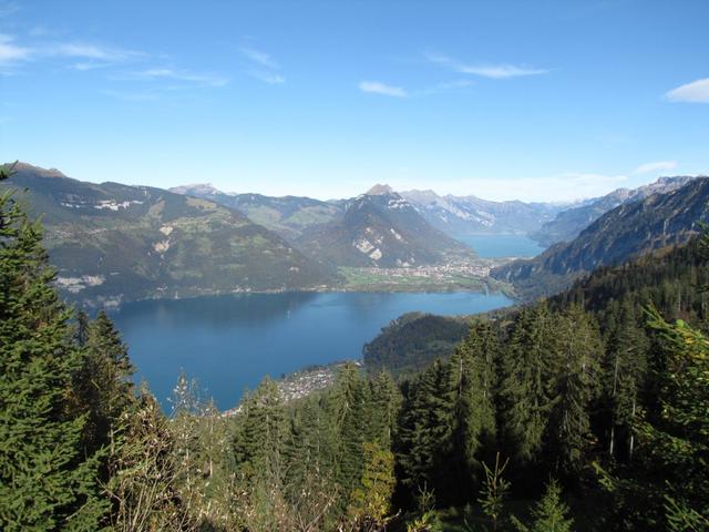 auf den Thunersee, Interlaken und den Brienzersee. Nur auf dieser Wanderung kann man beide Seen auf der ganzen Länge bestaunen