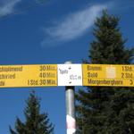 Wegweiser bei Spitz 1393 m.ü.M.