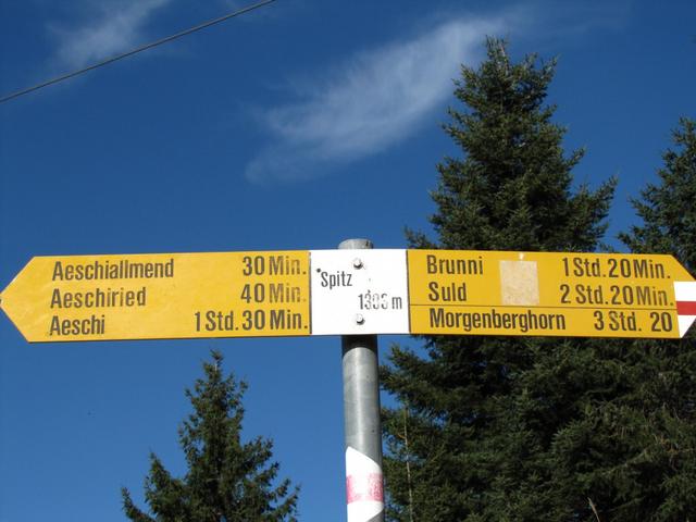 Wegweiser bei Spitz 1393 m.ü.M.