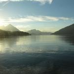 mit dem Zug von Spiez am Thunersee entlang zurück nach Wilderswil