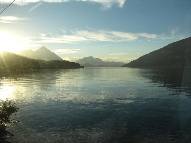 mit dem Zug von Spiez am Thunersee entlang zurück nach Wilderswil