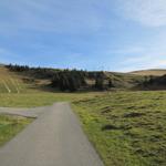 über eine Alpstrasse verläuft der Wanderweg gemütlich aufwärts Richtung Obere Elsige