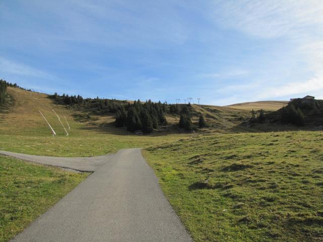 über eine Alpstrasse verläuft der Wanderweg gemütlich aufwärts Richtung Obere Elsige