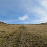 Bergwanderweg ist aber übertrieben. Über die Skipisten geht aufwärts. Überall Beschneiungsanlagen