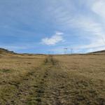 Bergwanderweg ist aber übertrieben. Über die Skipisten geht aufwärts. Überall Beschneiungsanlagen