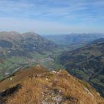 die Aussicht vom Elsighorn entschädigt, den nicht so schönen ersten Teil der Wanderung