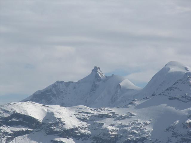 Aletschhorn ?