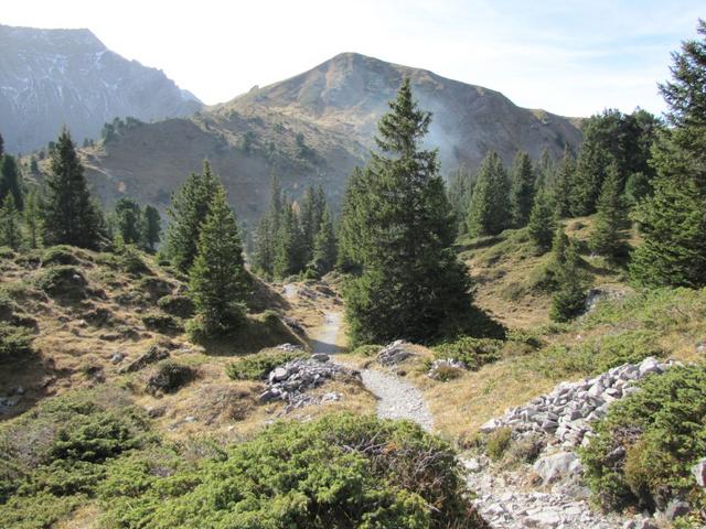 kurz vor dem Elsigsee