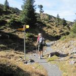 unsere Wanderung führt uns nun zurück zur Bergstation der Seilbahn