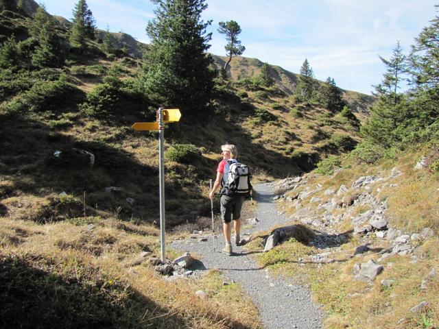 unsere Wanderung führt uns nun zurück zur Bergstation der Seilbahn