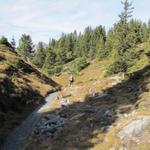 wir befinden uns im schönsten Teil der Elsigenalp