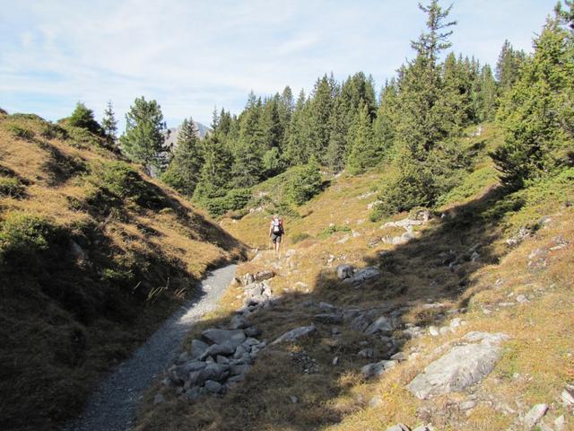 wir befinden uns im schönsten Teil der Elsigenalp