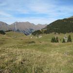 über Alpweiden führt uns der Wanderweg zurück zur Bergstation