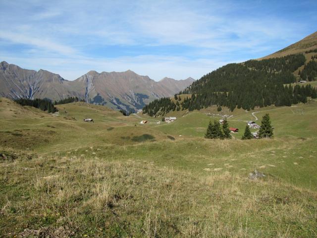 über Alpweiden führt uns der Wanderweg zurück zur Bergstation