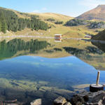 Breitbildfoto vom schönen Brandsee