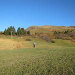 über die Alp "im Berg" verläuft der Wanderweg aufwärts. Am Horizont der Ratoser Stein