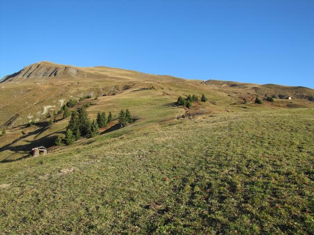 über Alpweiden führt der Wanderweg weiter aufwärts Richtung "in der Bleis"