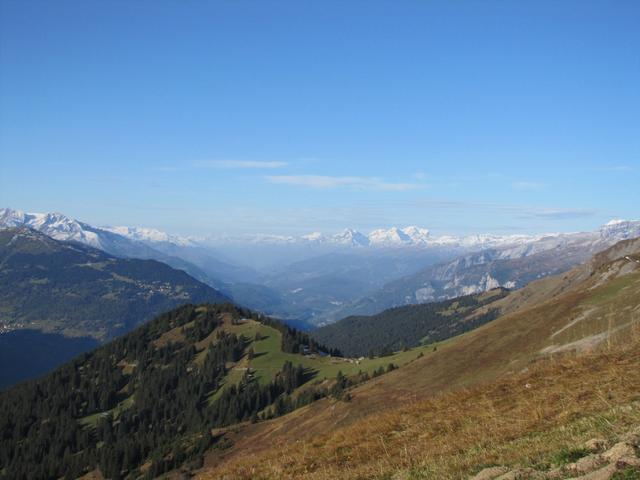 der Blick reicht bis zum Oberalpstock, Düsi, Tödi und Bifertenstock