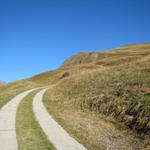 über diese kleine Alpstrasse führt uns der Wanderweg Richtung  "in der Bleis"