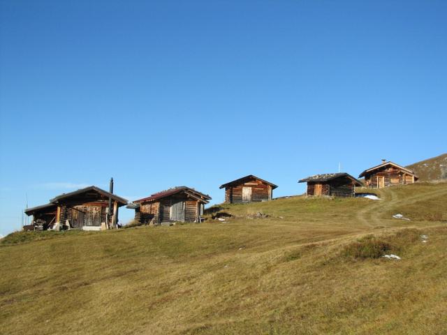 die Alphütten, besser gesagt Ferienhäuschen auf "in der Bleis" 2144 m.ü.M.