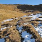 der Wanderweg führt einen grossen Rechtsbogen durch. Der Wanderweg ist nicht überall ersichtlich