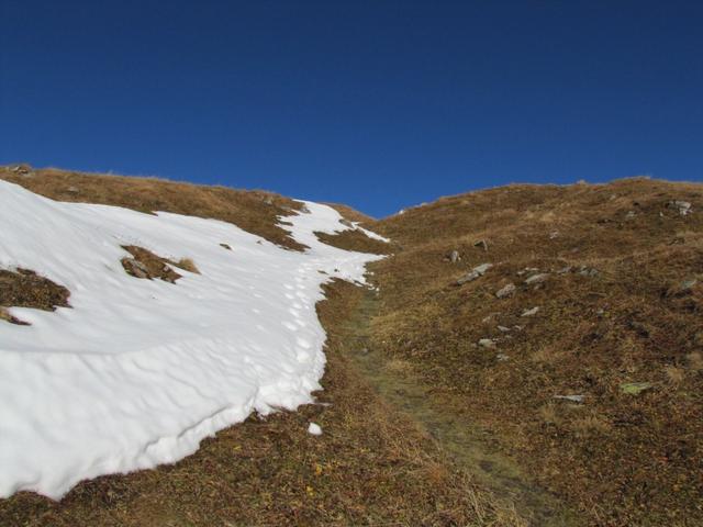 der Weg der auf den Hochwang führt ist völlig ungefährlich