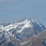 Piz Sardona und Trinserhorn