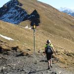 Mäusi hat das Fürggli 2289 m.ü.M. erreicht