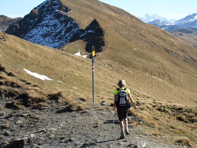 Mäusi hat das Fürggli 2289 m.ü.M. erreicht