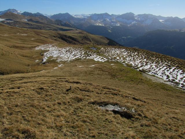 zum teil weglos geht es nun über die Sonnenterrasse des Schanfigg, bei Furgglis abwärts