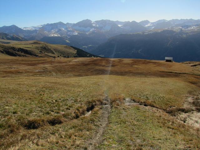 ein kleiner Hochmoor muss überschritten werden