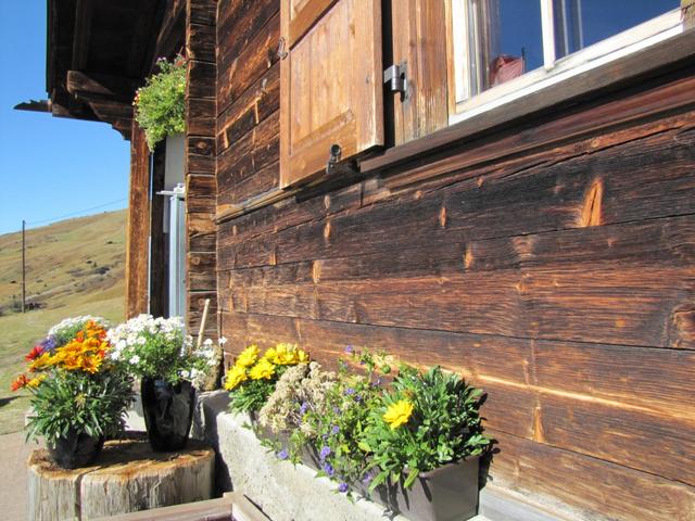 schöne Blumen zieren die Holzfassade