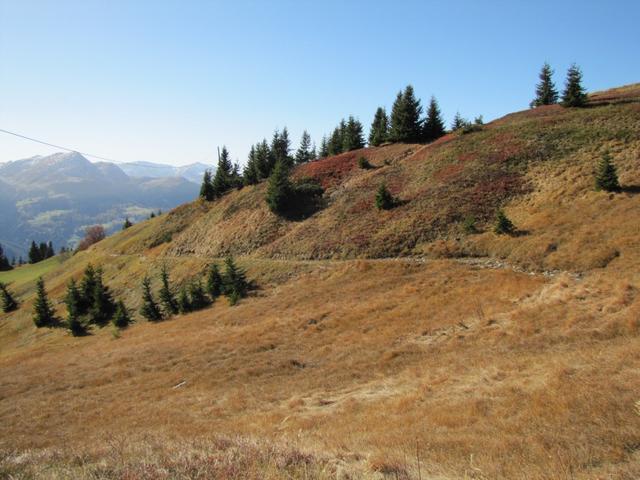 auf dem Höhenweg nach Triemel