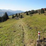 der Höhenweg Triemel - Ski- und Berghaus Hochwang ist ein Besuch wert