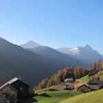 Tenna befindet sich im schönen Safiental. Am Horizont Piz Beverin und der Bruschghorn